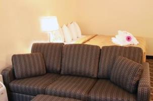 Hotel Comfort Inn & Suites Ambassador Bridge