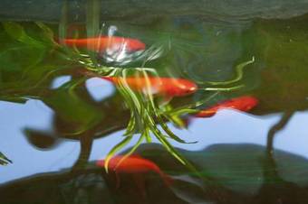 Posada The Great Wall Courtyard Hostel