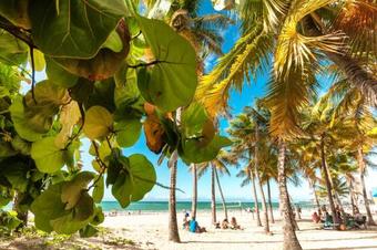 Apartamento Luxury Retreat By The Sea