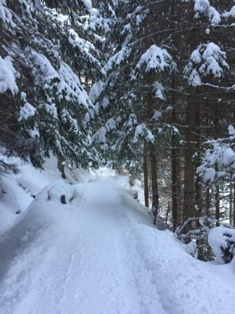 Apartamento Haus Petrasch "555"