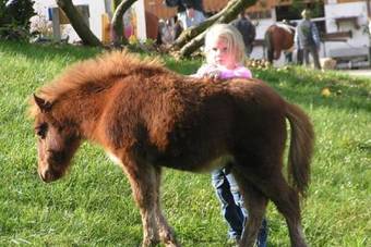Agroturismo Kollerhof