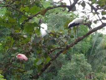 House In Unique Blue Zone
