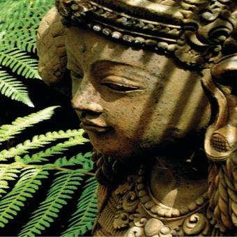 Hostal Forget Me Not Cottages