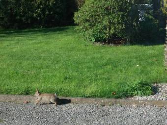 Agroturismo Castleview Farm B&B