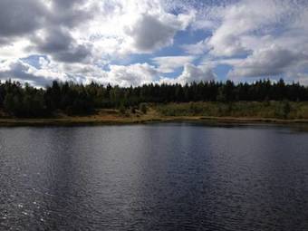 Apartamento Erzgebirgsferien