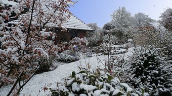 Apartamento Eulennest