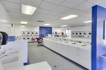 Golden Village Palms Rv Resort