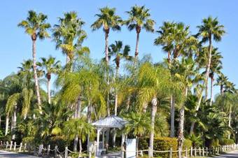 Hotel Twin Palms At Siesta