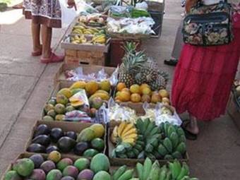 Apartamento Wavecrest C316