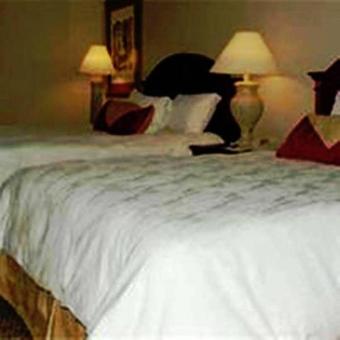 Hotel Hilton Garden Inn Syracuse