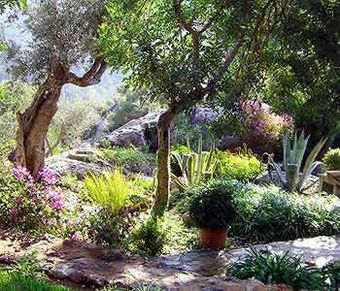 Agroturismo Sa Pedrissa