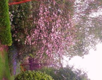 The Musicians Retreat B&B