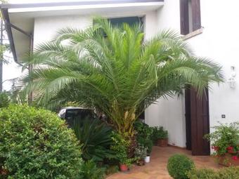 B&B La Cascina
