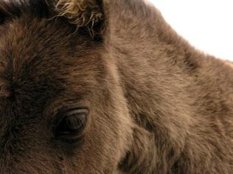 Aald Harbour Bed & Breakfast