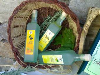 Agroturismo Agriturismo Casa Scola