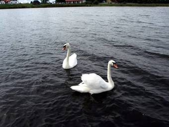 Agroturismo Zameczek