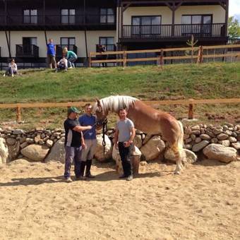 Hostal Potcoava Mountain Hideaway