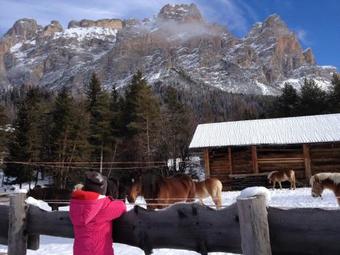 Bed & Breakfast Garni Baita