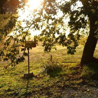 Apartamento Fonte Pecciano 1856