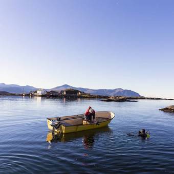 Agroturismo Hammar�n