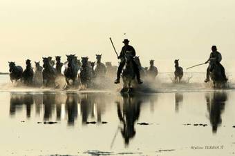 Mas Du Pont De Laute