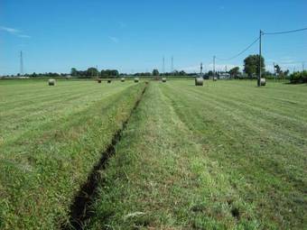 Apartamento Marco Green House