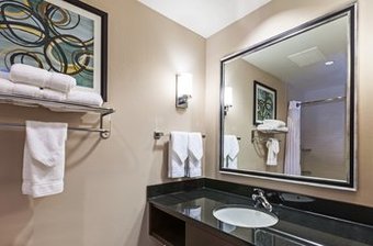 Hotel Holiday Inn The Colony