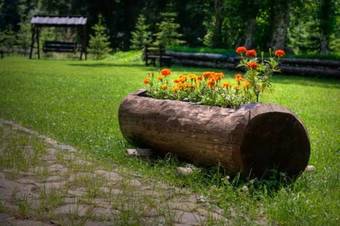 Hostal Pensiunea Denisa