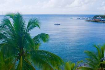 Check-in Vieques Hotel