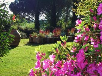 Agroturismo Podere L'olmaia