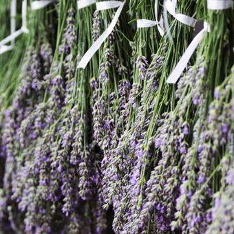 La Valeriana Farm Apartments