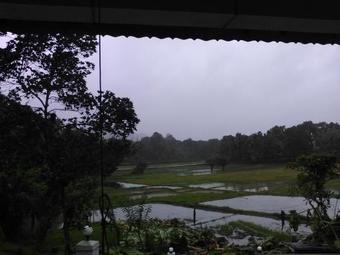 The Breeze Pinnawala Homestay