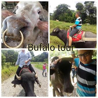 Posada Casona Tica Linda