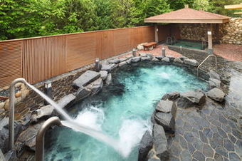 Hotel Hanwha Resort Suanbo