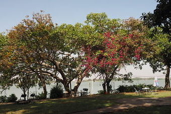 Tana Hotel