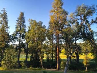 Sierra Meadows