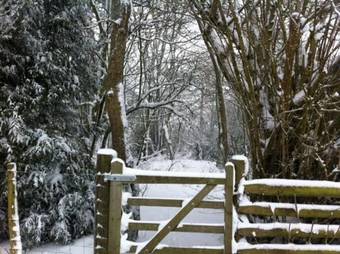 The Red Kite Boutique Holiday Home