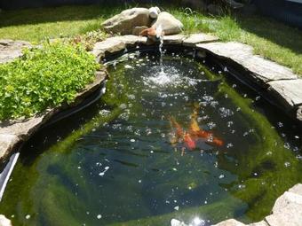 Agroturismo Brusna Farmhouse