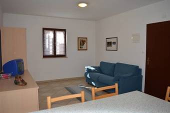 Apartment Blue Orchid