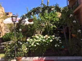 Agroturismo La Molineta