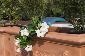 Agroturismo Agriturismo Vin E Amor