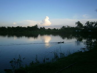 Hotel Freddie's Fishing Park