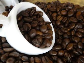 Apartment Oasi Bianca I