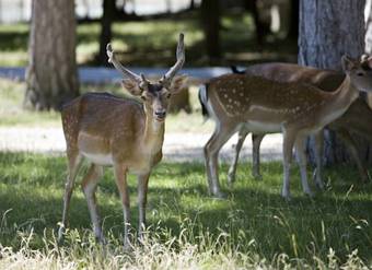 Hotel Ch�teau De Rochegude - Relais & Ch�teaux