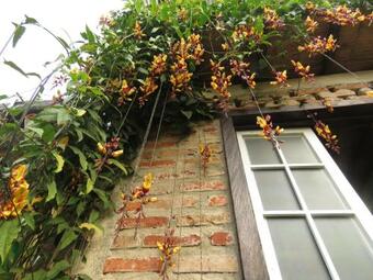 Siete Hierbas Hostal