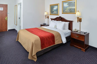 Hotel Comfort Inn And Suites