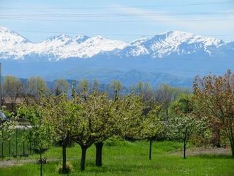 Hotel H�tel Rocade