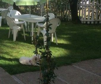 Hotel Villa Casa Blanca