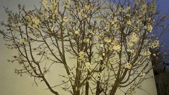 Apartamento Rancho Viejo La Cumbre