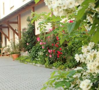 Apartamento Ferienwohnung Kittl